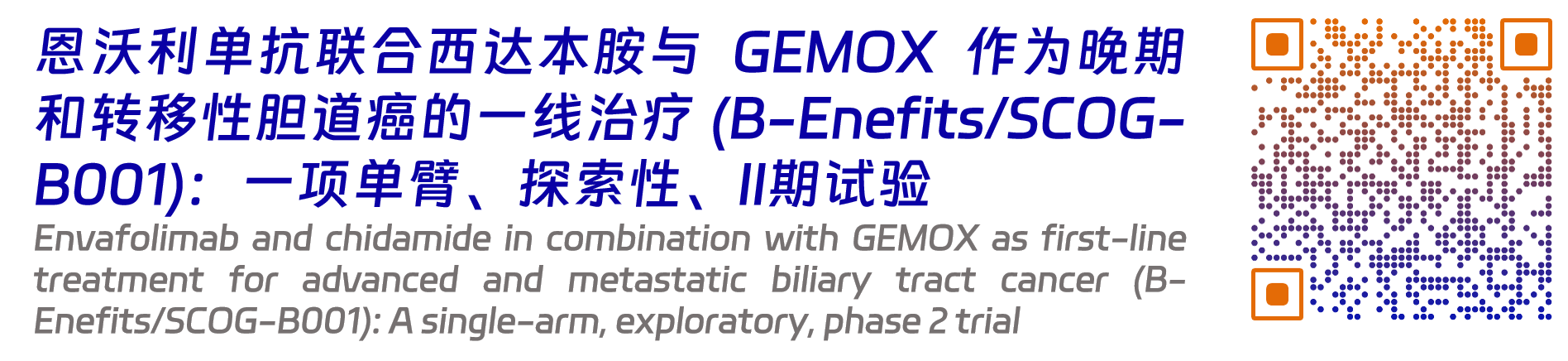 恩维达6.png