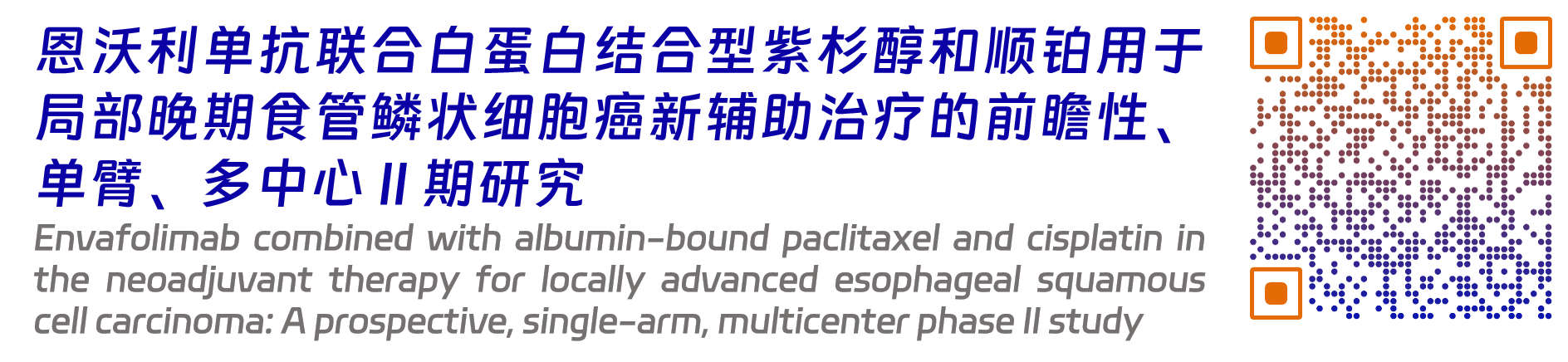 恩维达8.png